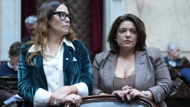 Jimena Lopez, ayer en la sesion de la Camara de Diputados de la Nacion
